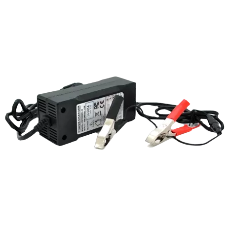 Merlion LiFePO4 12V(14,6V)-5A-60W Зарядний пристрій для акумуляторів