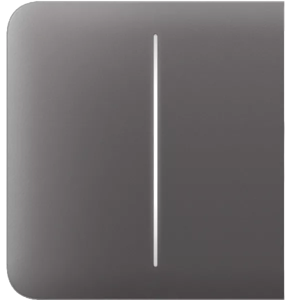 Ajax SideButton (2-gang) [55] grey Кнопка