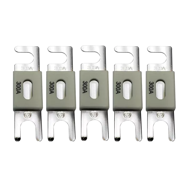 Victron Energy ANL-fuse 300A/80V (5 pc) Запобіжник