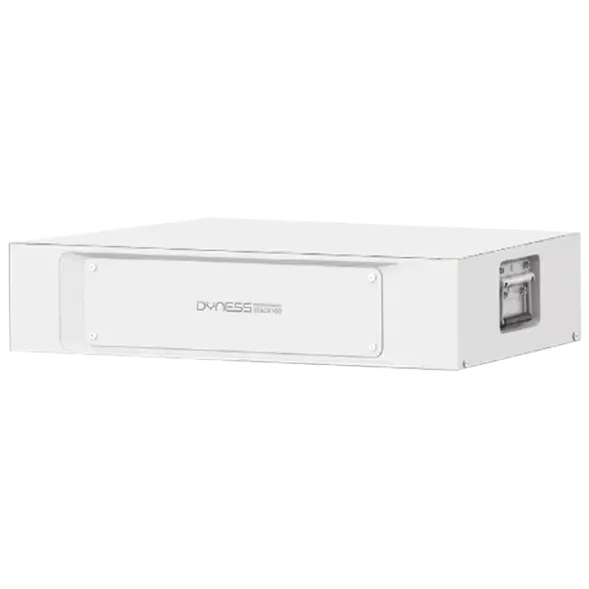 Dyness Stack100 S51100 51.2V 100AH (составляющая комплекта) Аккумуляторная батарея модульная