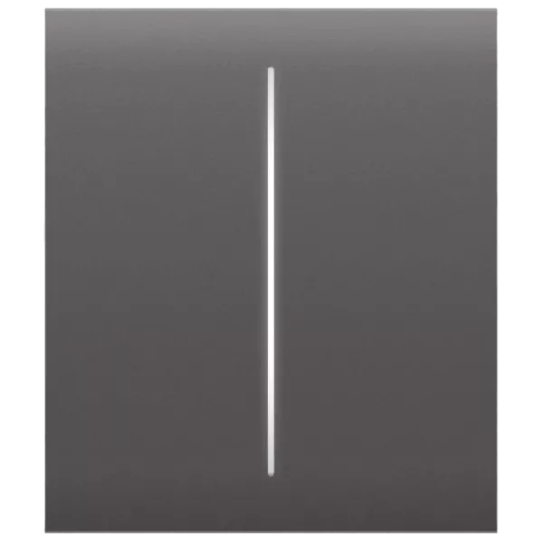 Ajax CenterButton (2-gang) grey для двоклавішного вимикача Кнопка центральна