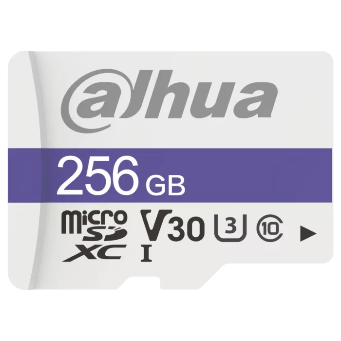 Dahua DHI-TF-C100/256GB Карта пам'яті microSD