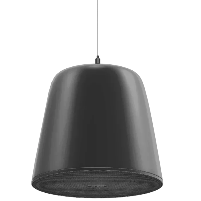 Hikvision DS-QAZ1510G1-BE підвісний Мережевий динамік