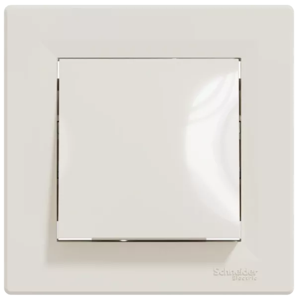 Schneider Electric Asfora EPH0400123 Перемикач одноклавішний самозатискний