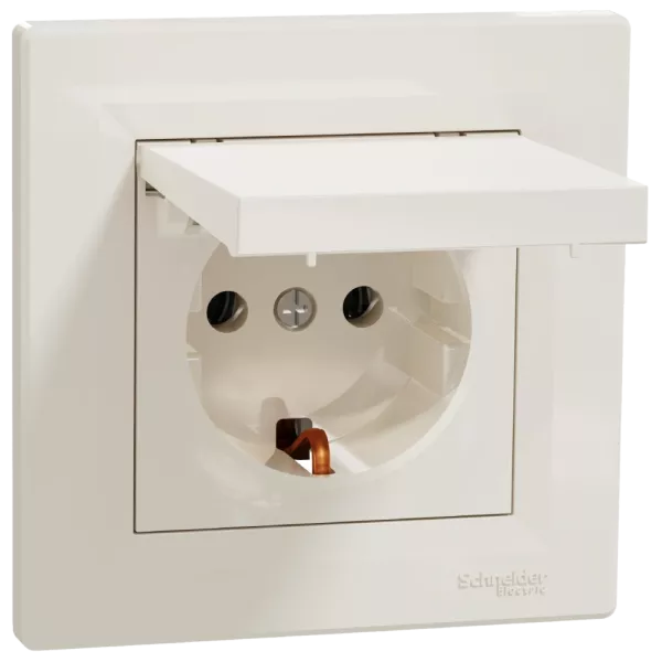 Schneider Electric Asfora EPH3100123 Розетка із кришкою, із заземленням