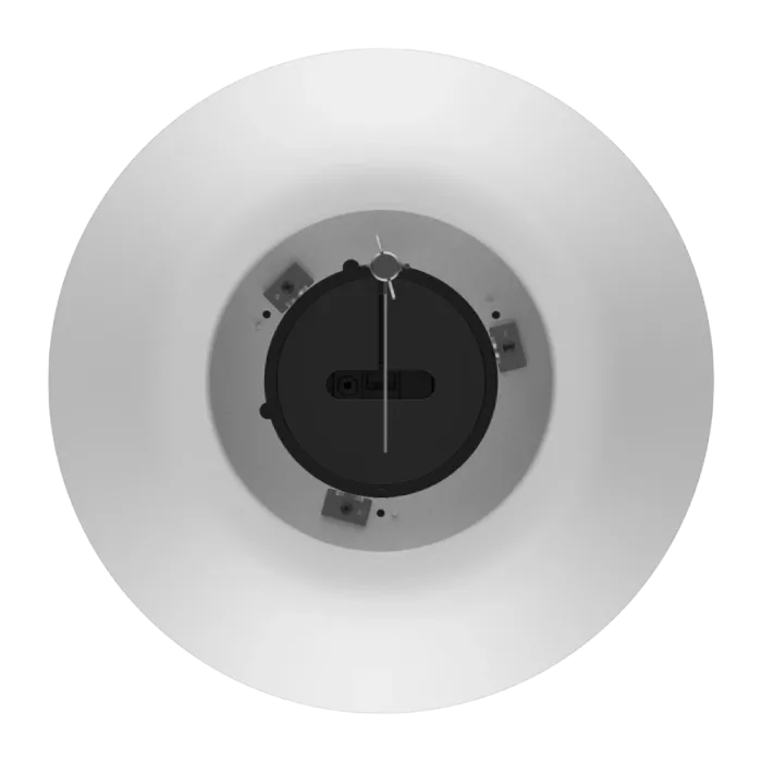 Hikvision DS-QAZ0530G1 30 Вт Аналоговий динамік
