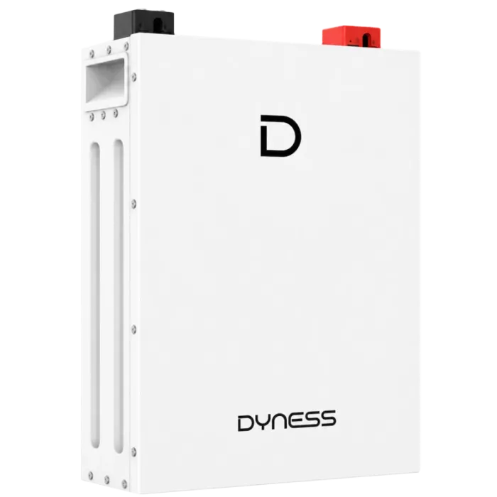 Dyness DL5.0F 51.2V 100AH Літієва акумуляторна батарея