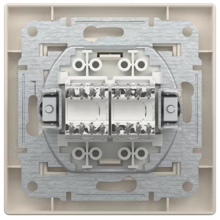 Schneider Electric Asfora EPH4400123 РОЗЕТКА КОМП'ЮТЕРНА RJ45 UTP КАТ. 5Е ПОДВІЙНА
