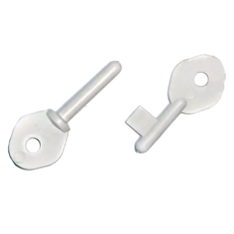 Электрон ИРТС Ключ