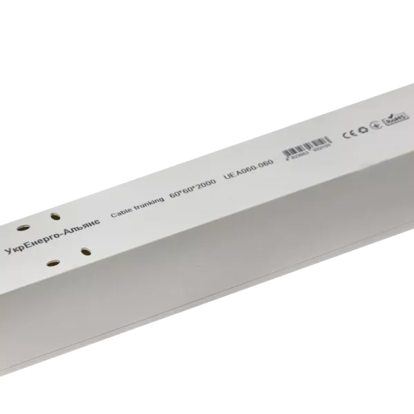 60х60 мм 2м із подвійним замком Кабельний канал