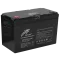 Ritar LFP12.8V100AHG24 Акумуляторна батарея з bluetooth