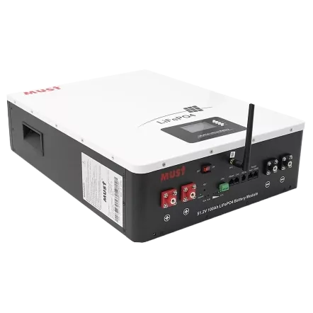 Must LP16-48100 51.2В 100А*г Літієва акумуляторна батарея