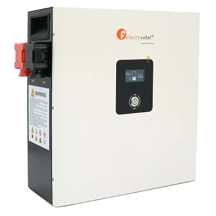 FelicityESS LPBF24200-A 24В 200А•год Літієва акумуляторна батарея