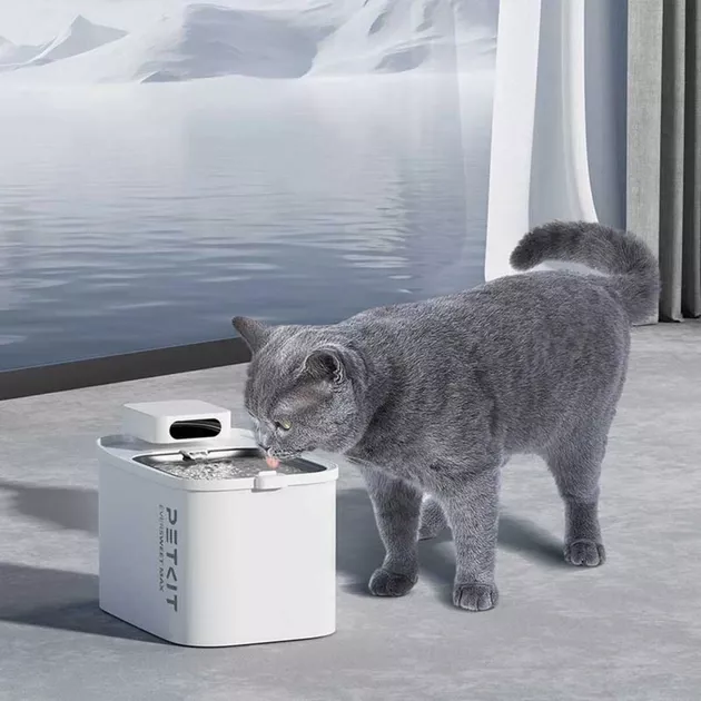 Petkit Eversweet Max Filter Unit Rect 5 шт Фільтр для поїлок