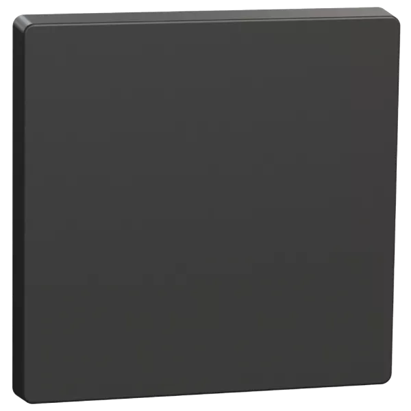 Schneider Electric Merten System Design MTN3300-6034 Клавіша