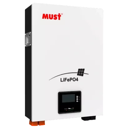 Must LiFePO4 25.6В 100А*г Літієва акумуляторна батарея