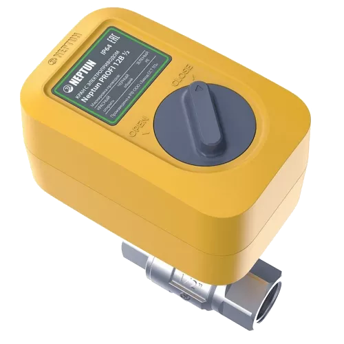 Neptun PROFI 12B 1/2 (2205802) Кран з електроприводом