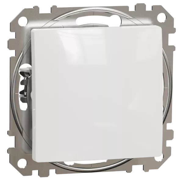 Schneider Electric Sedna Design & Elements SDD111111 Кнопковий вимикач