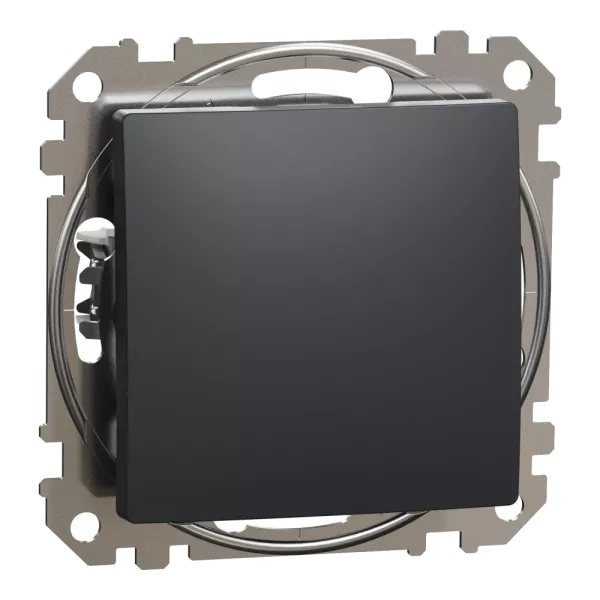 Schneider Electric Sedna Design & Elements SDD114101 Вимикач