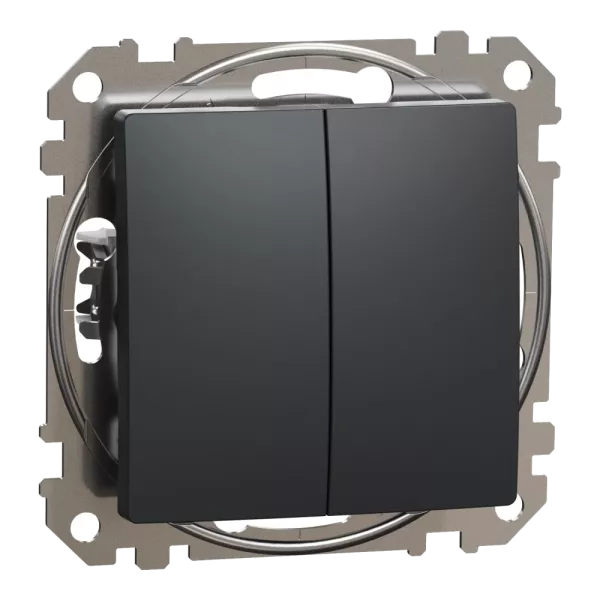 Schneider Electric Sedna Design & Elements SDD214105 Двоклавішний вимикач