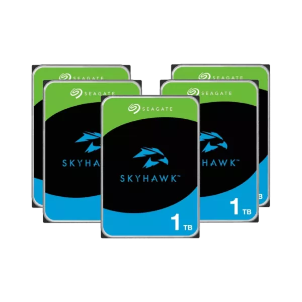 Seagate SkyHawk ST1000VX013 (комплект 25 шт) Жорсткий диск