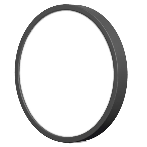 VIDEX 24W 5000K 220V LED світильник накладний круглий Black